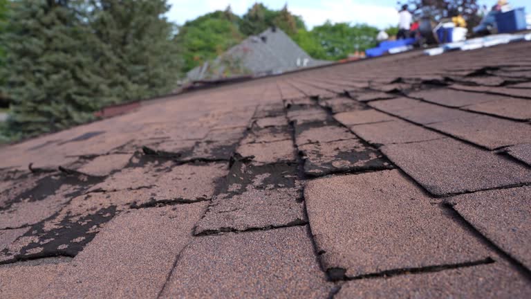 Fast & Reliable Emergency Roof Repairs in Glenns Ferry, ID